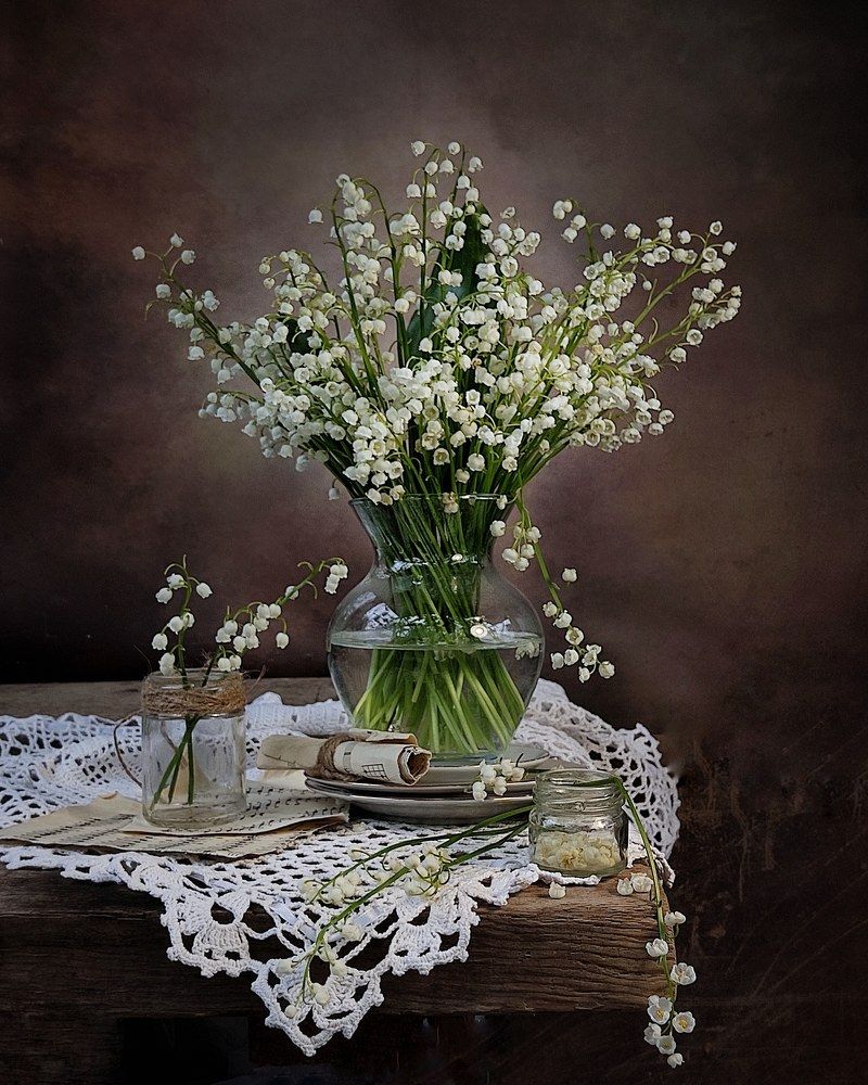 Фотография автора Инга Шевелёва