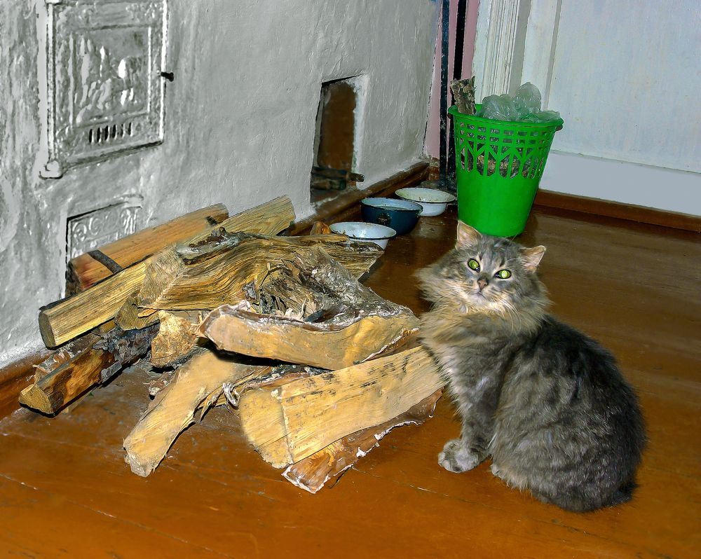 Ну затопите печку, холодно ведь...