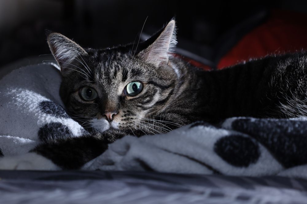 Photograph by Анна Авилочкина