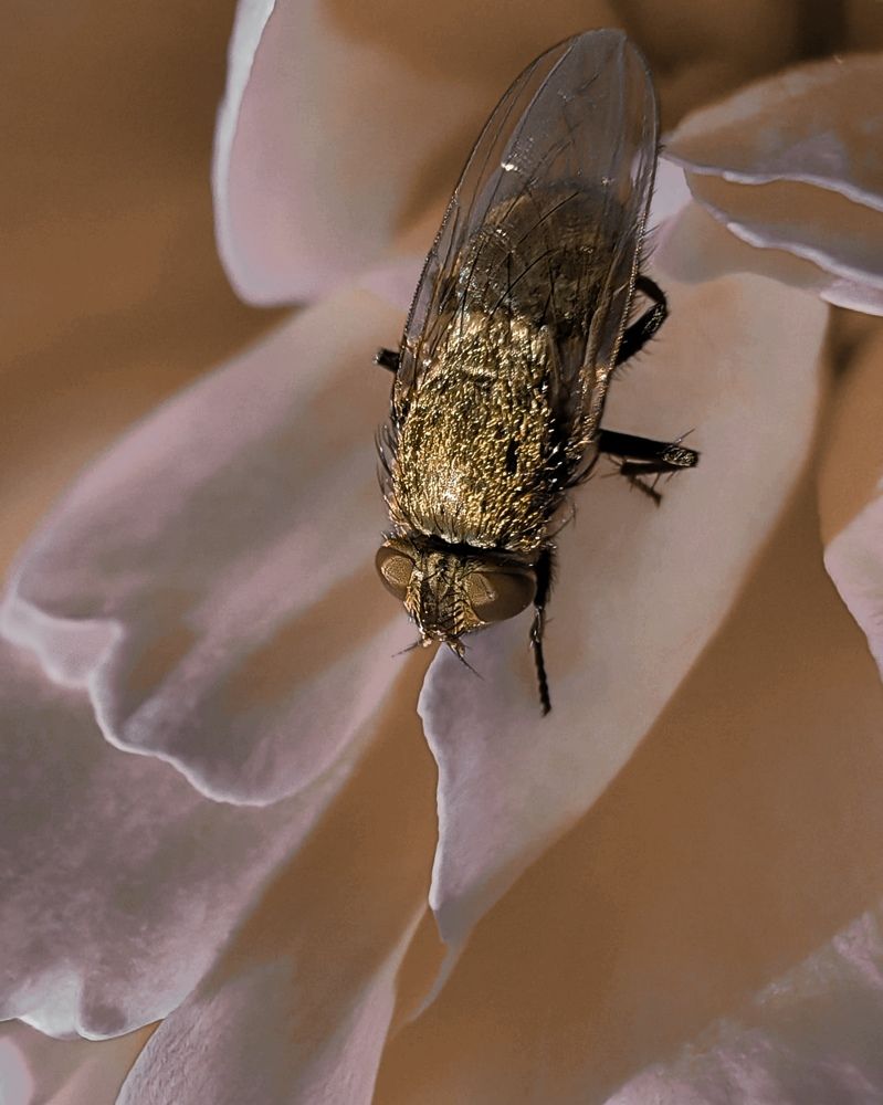 Photograph by Наталья Жуковская