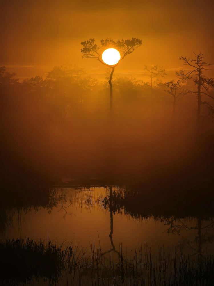 Photograph by Михаил Азаров