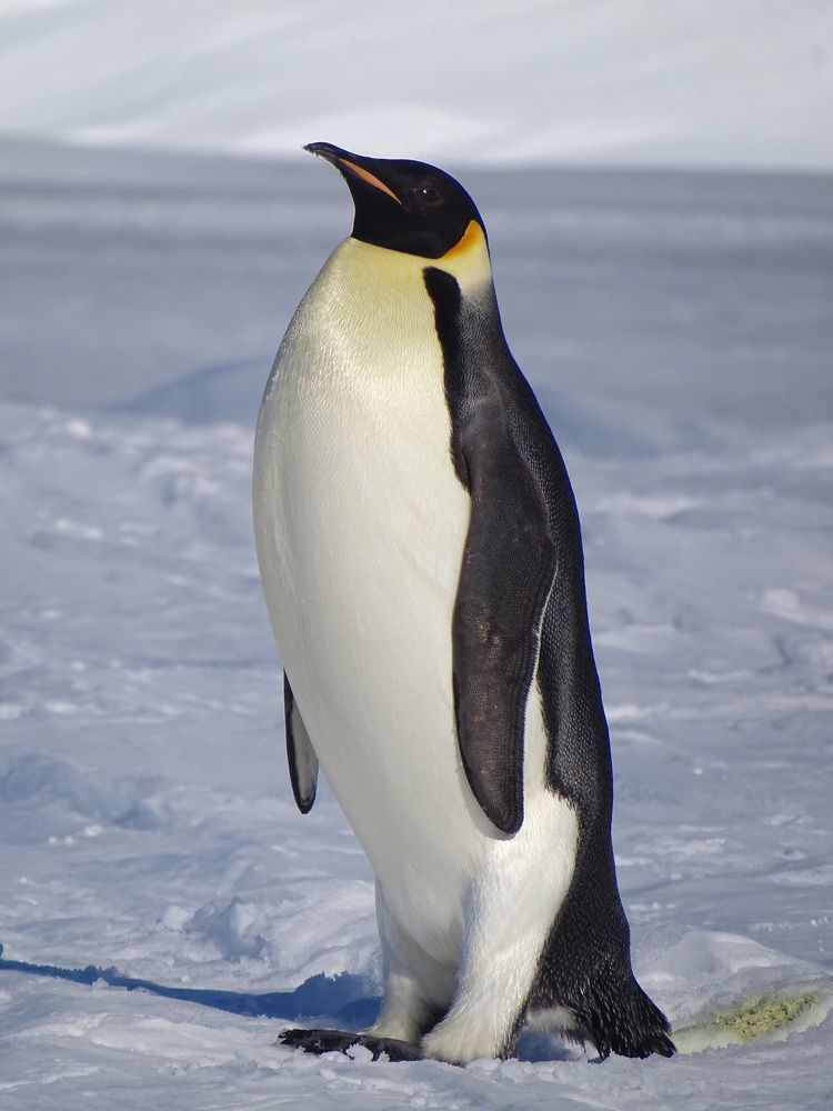 Photograph by MAKSIM MARKOV