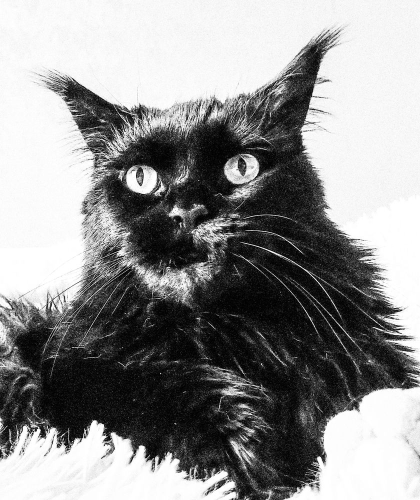 Фотография автора Валерия