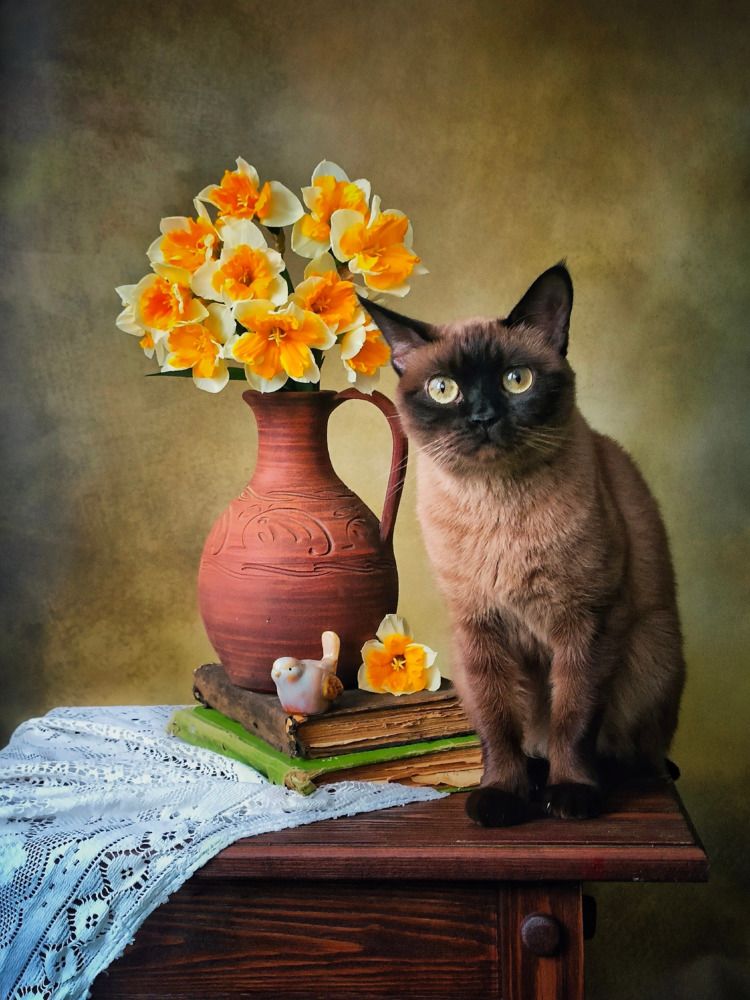 Photograph by Александра