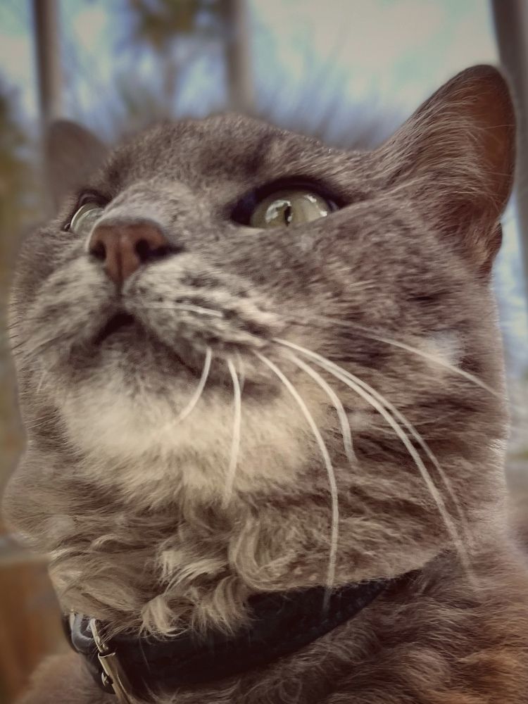 Photograph by Ahmed Elhetki