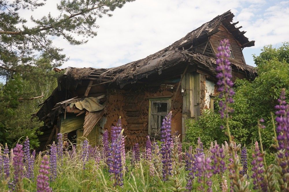 Photograph by Алфия Бугакова