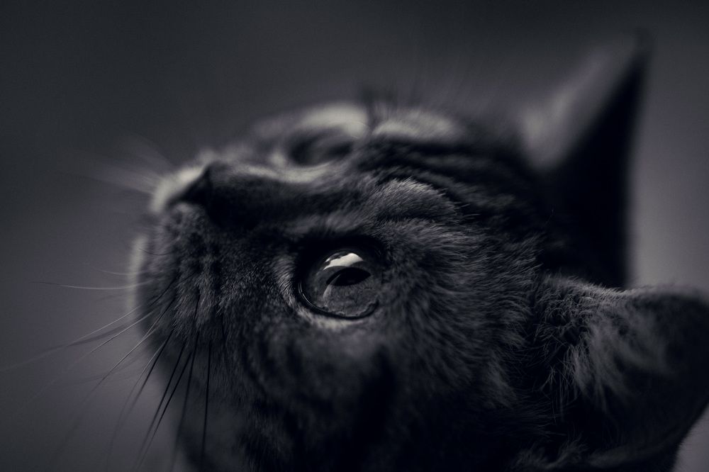 Photograph by Liga KALNINA