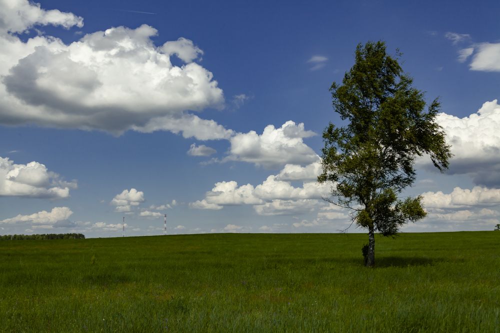 Фотография автора Вадим Лабитов