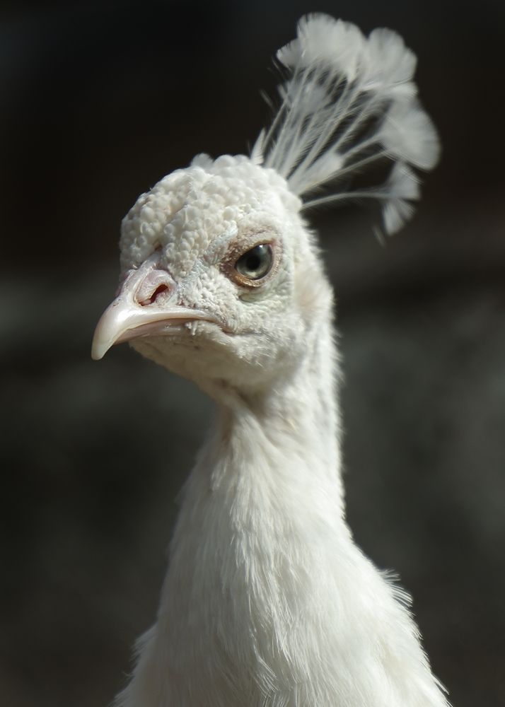 Photograph by Lena Melnikova