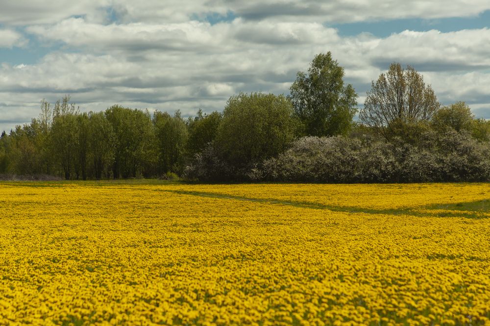 Фотография автора Вадим Лабитов