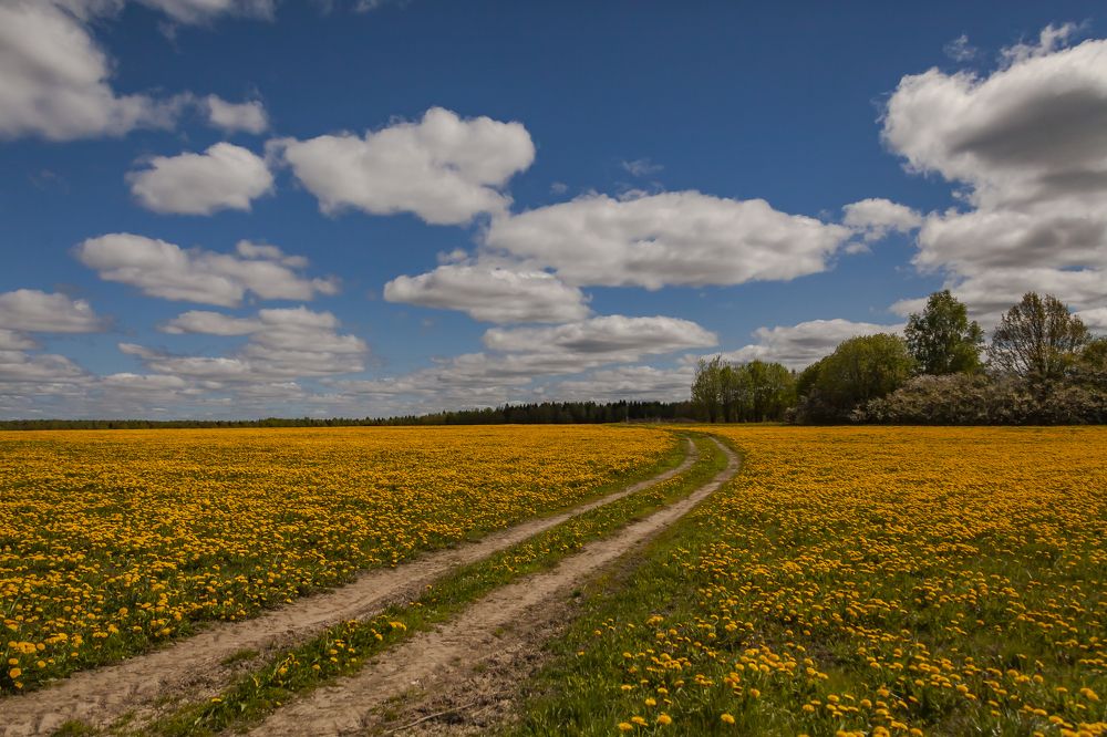 Фотография автора Вадим Лабитов