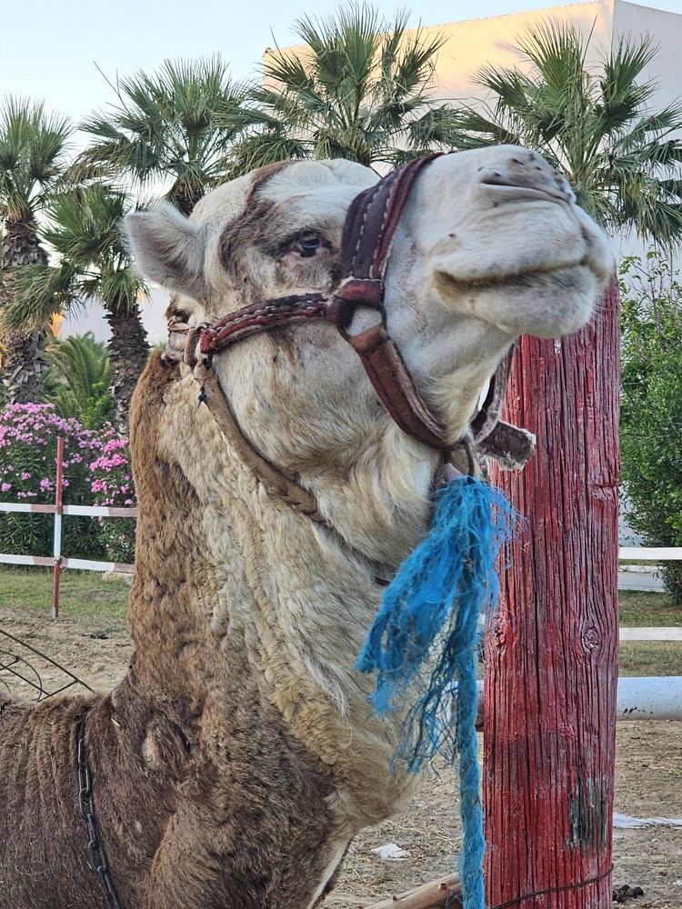 Photograph by Ksenia Werner