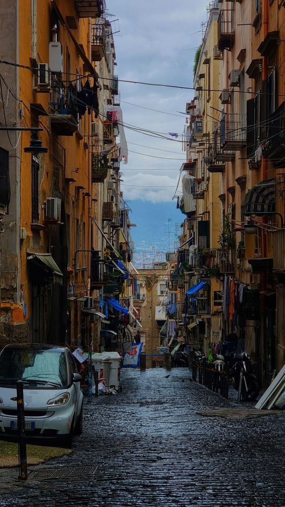 Фотография автора Elvira Cutler