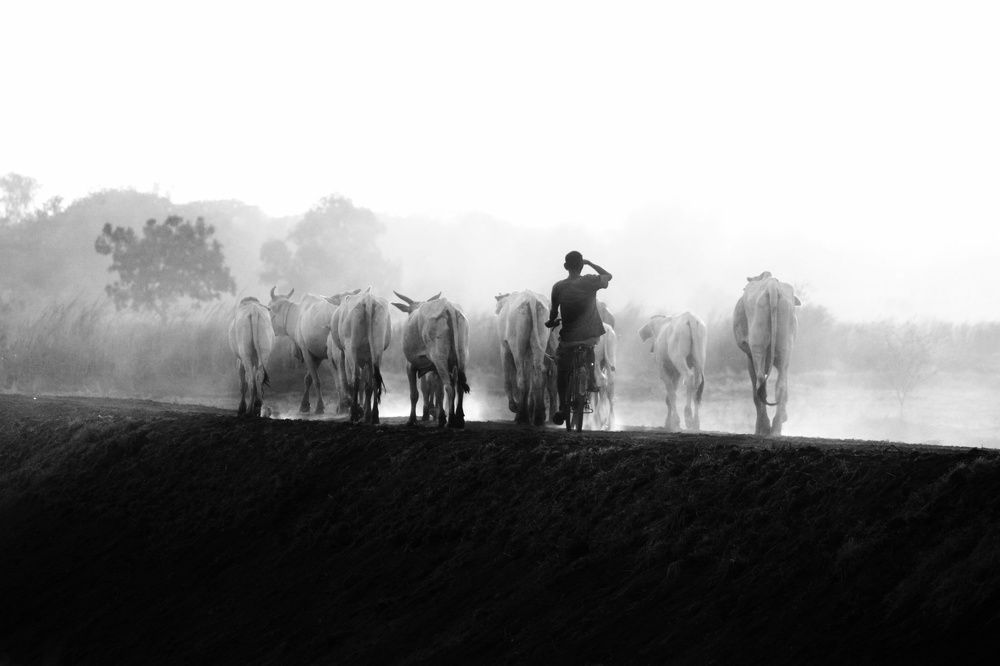 Photograph by Pheap Sophinh