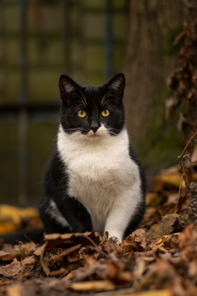 Фотография автора Алена Ковалёва