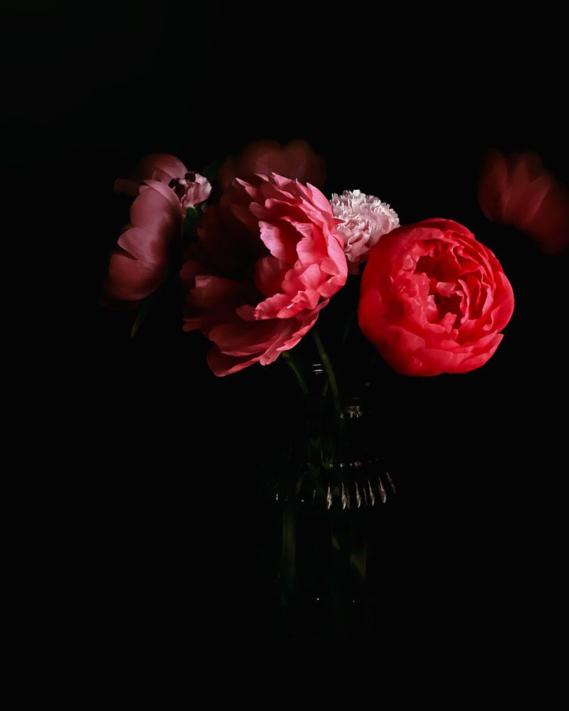 Фотография автора Анна Абрамова