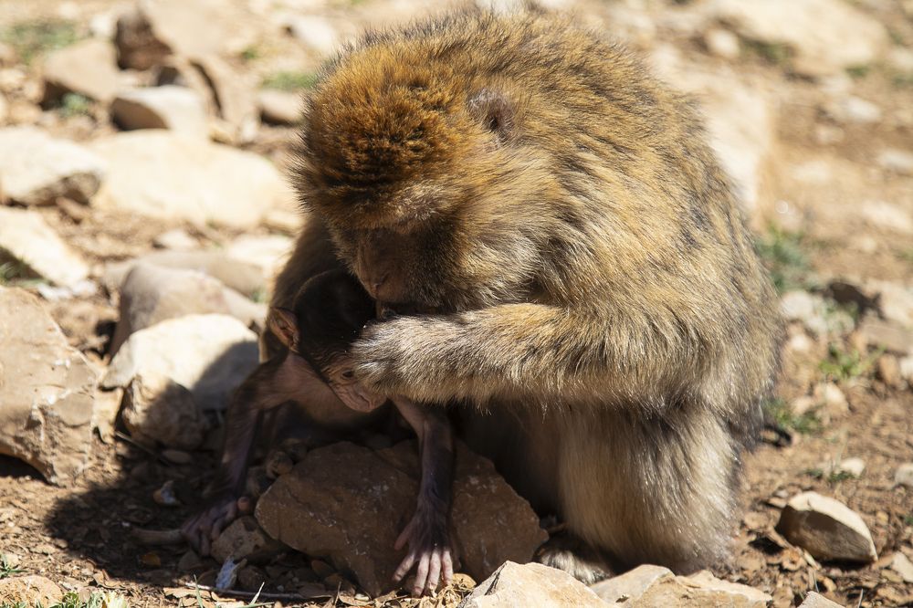 Photograph by Antonia Santamaria de Queiroz Lima