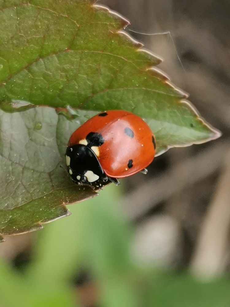 Photograph by Рузанна Муртазина