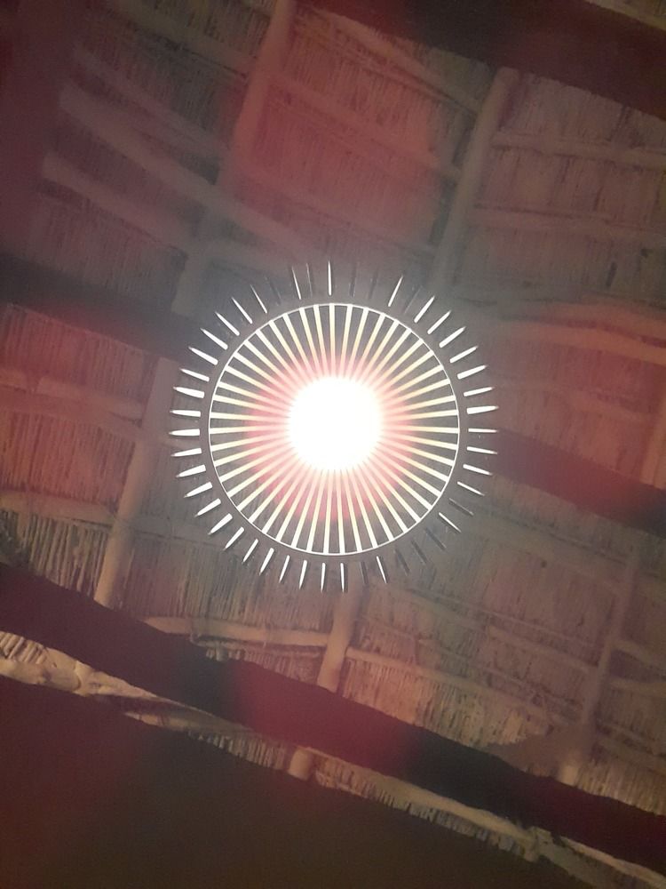 Photo #10702866