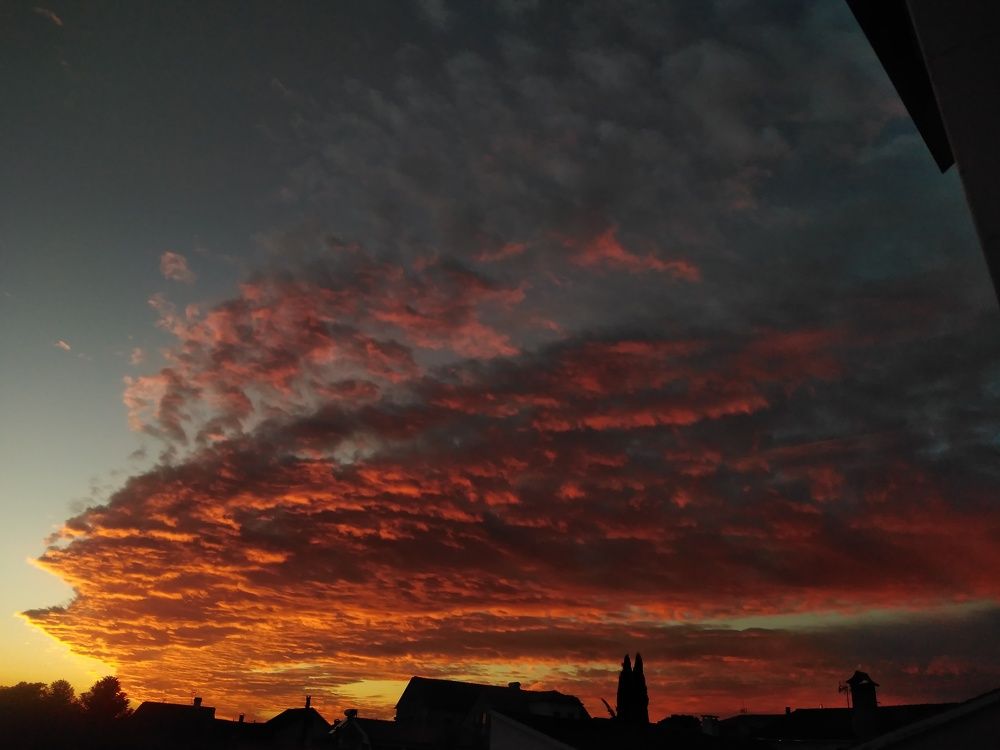 Photograph by Francisco Ferreira