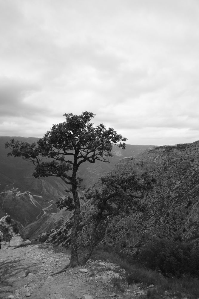 Photograph by Анна Вода