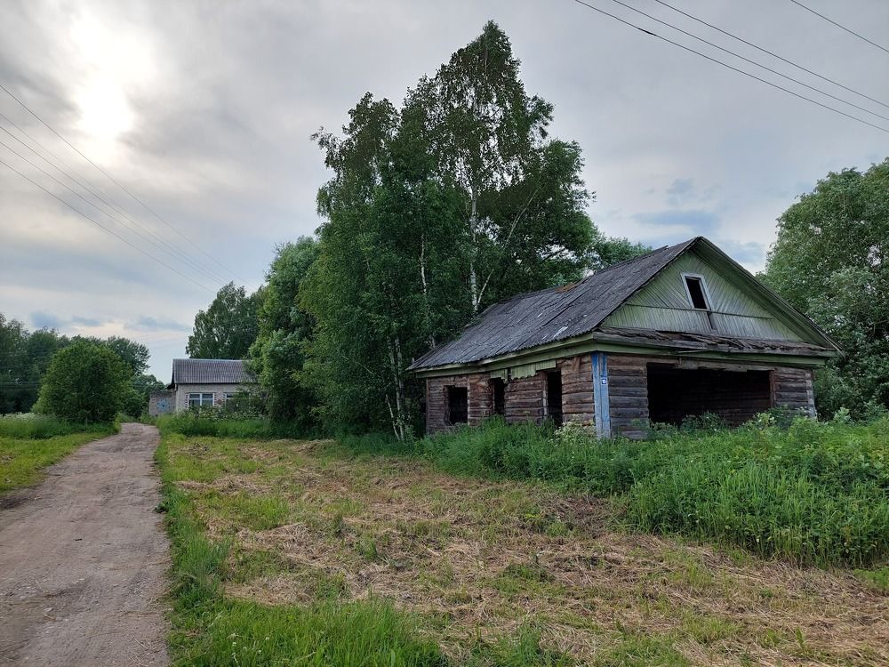 Photograph by Елена Тимченко