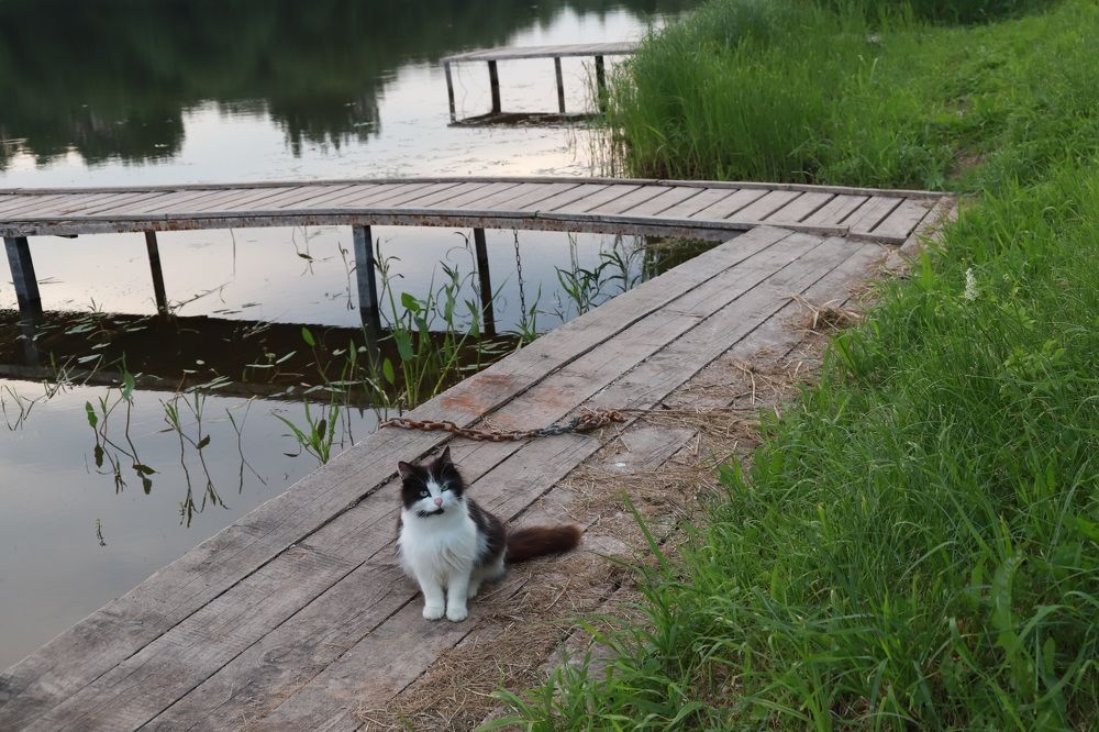 Photograph by Елена Тимченко