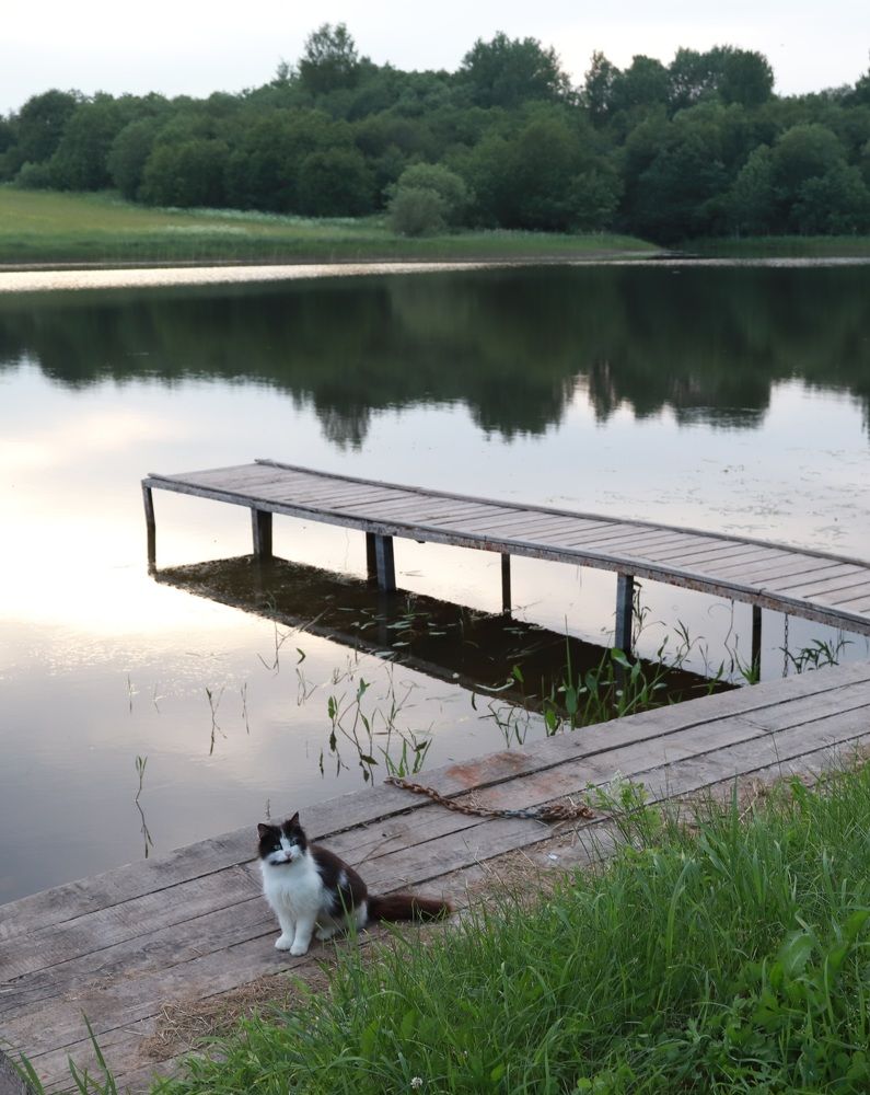 Photograph by Елена Тимченко