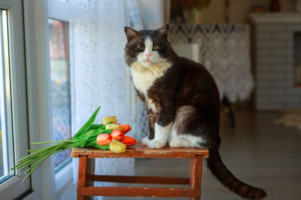 Фотография автора Галина Шепелева