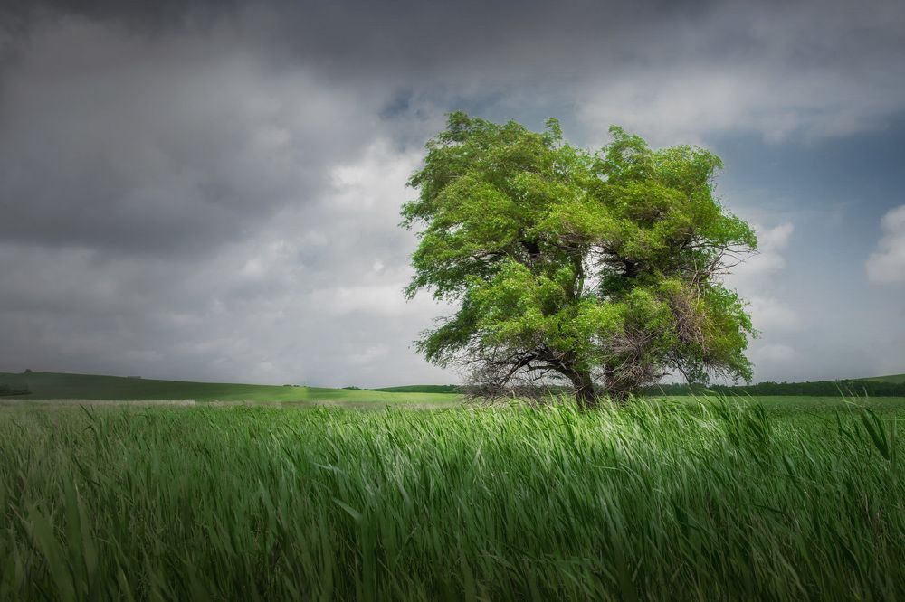 Photograph by Tatiana Alieva