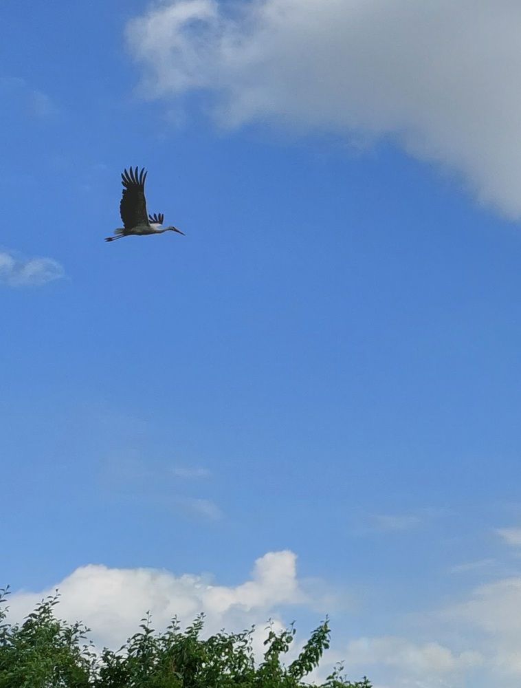 Photograph by Елена Тимченко