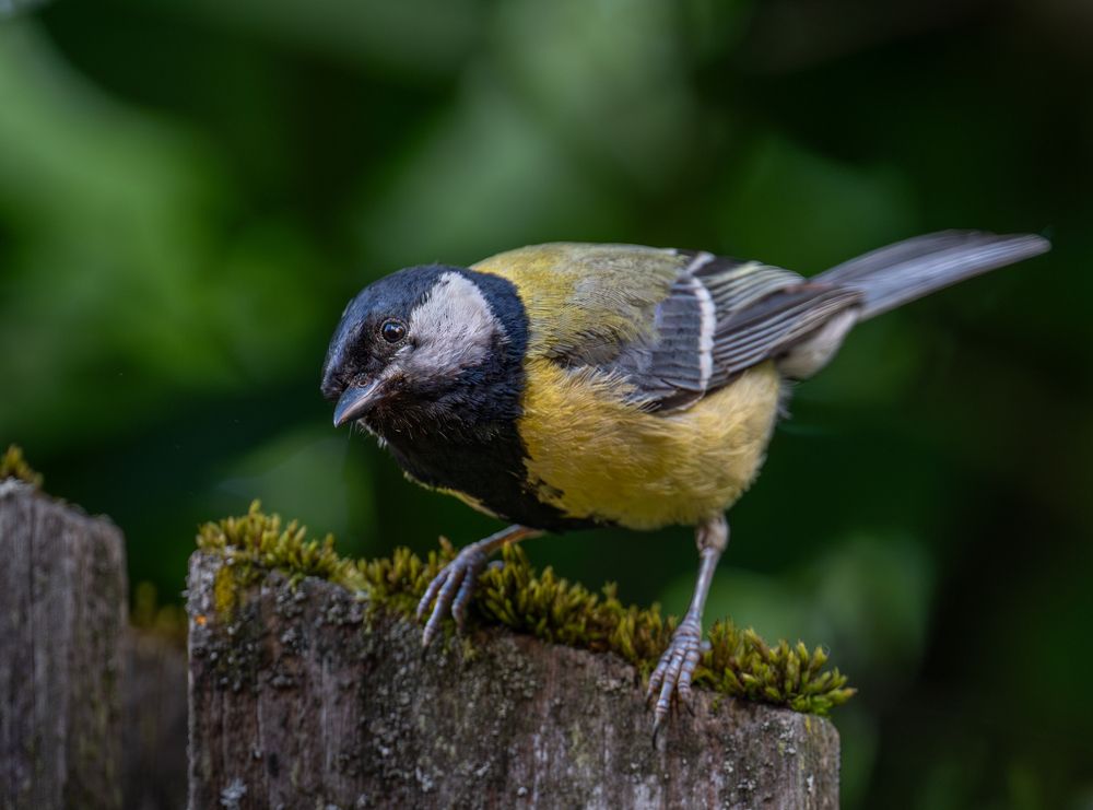 Photograph by Курлянцев Алексей
