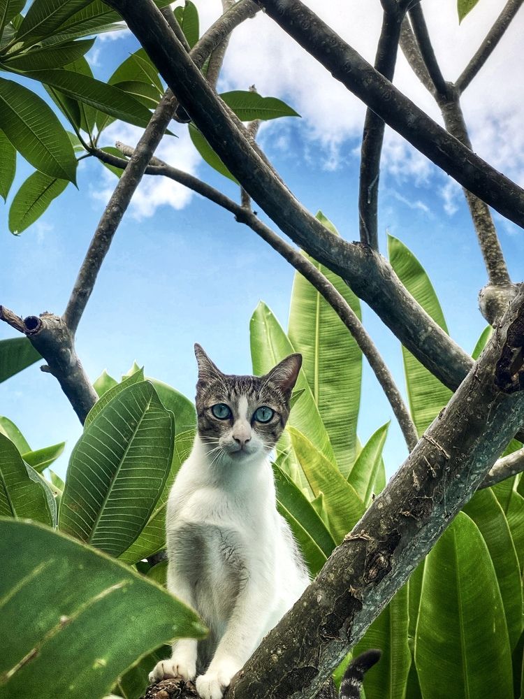 Photograph by Ирина Сорока