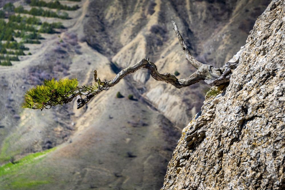 Photograph by Будаква Сергей