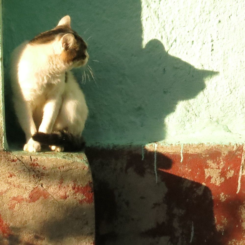 Photograph by Ирина Шведчикова