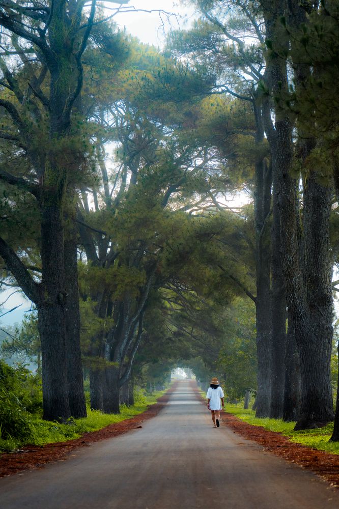 Фотография автора Trung Do