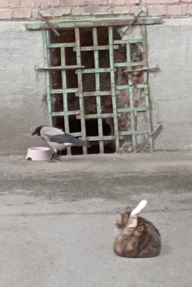 Photograph by Boris Butianov