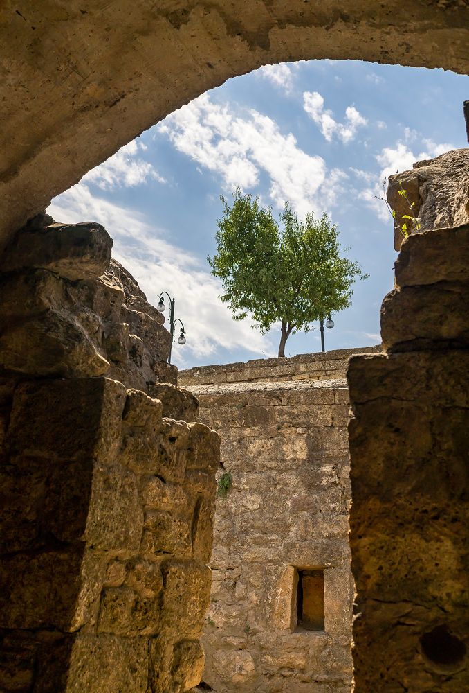 Photograph by Подосинников Максим