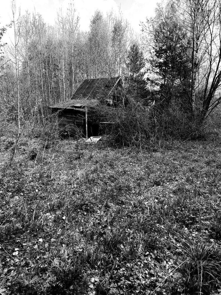 Photograph by Евстигнеев Евгений Васильевич