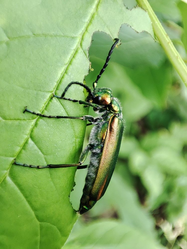 Photograph by Кузнецова Людмила