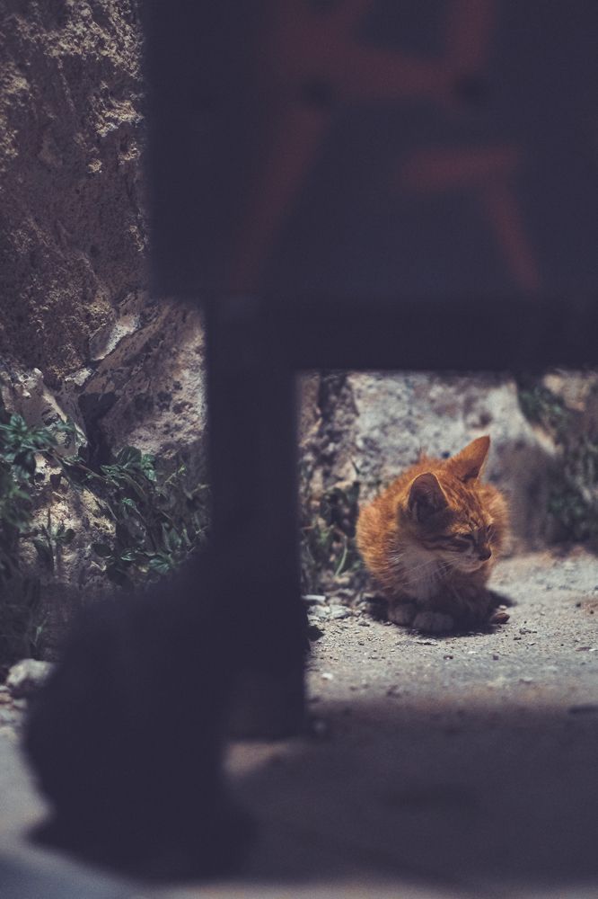 Photograph by Yu Ko