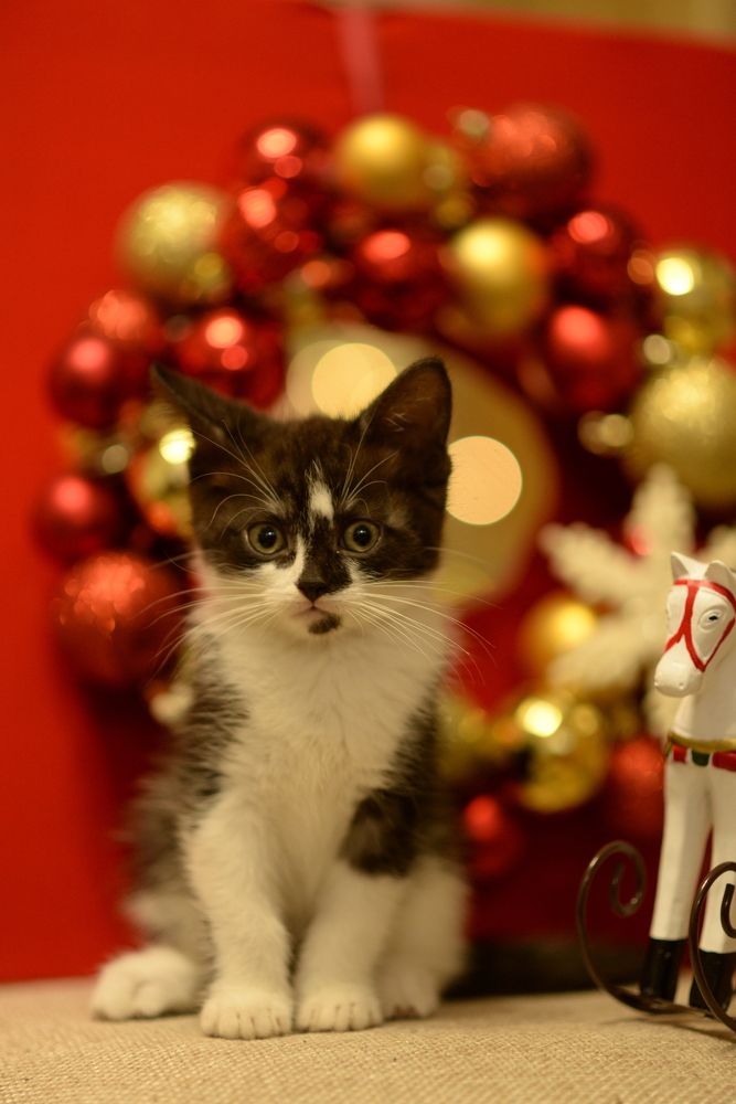 Photograph by Олеся Парфенова