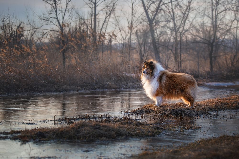 Photograph by СВЕТЛАНА ГРАЧЕВА