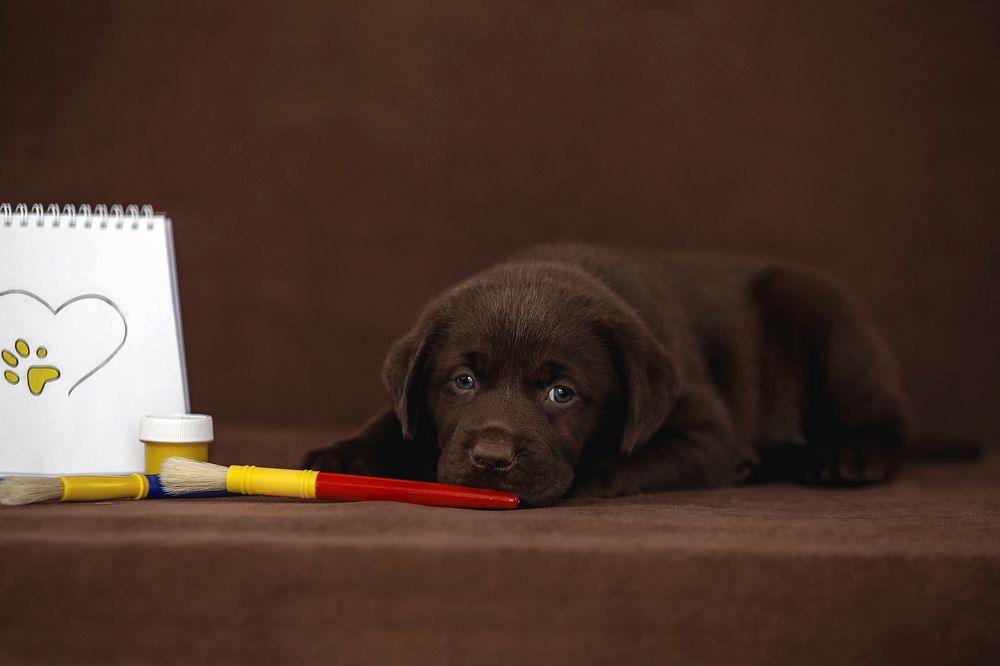 Photograph by СВЕТЛАНА ГРАЧЕВА