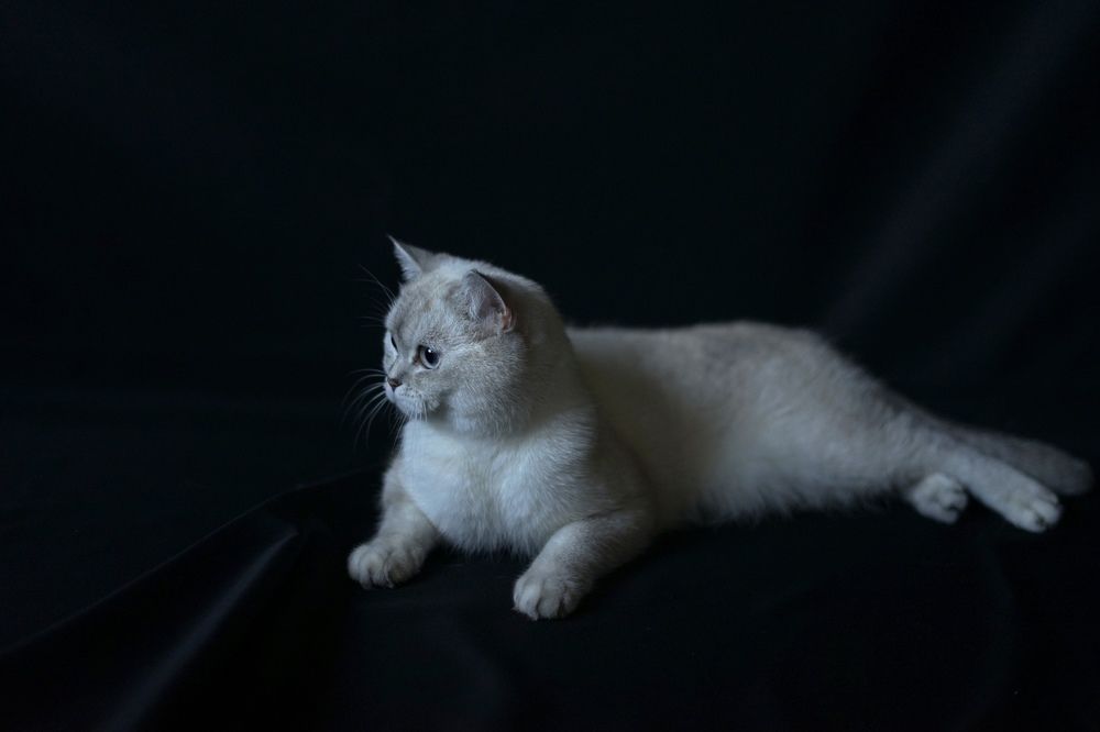 Photograph by Swetlana Brumm