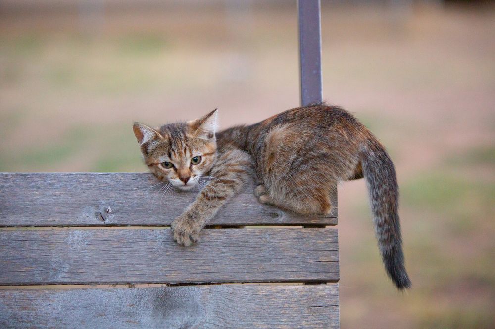 Photograph by Варвара Торокина