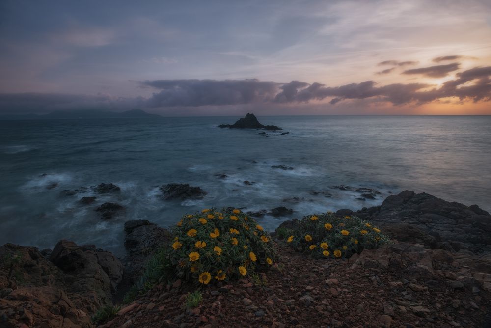 Фотография автора Adele Ferrari