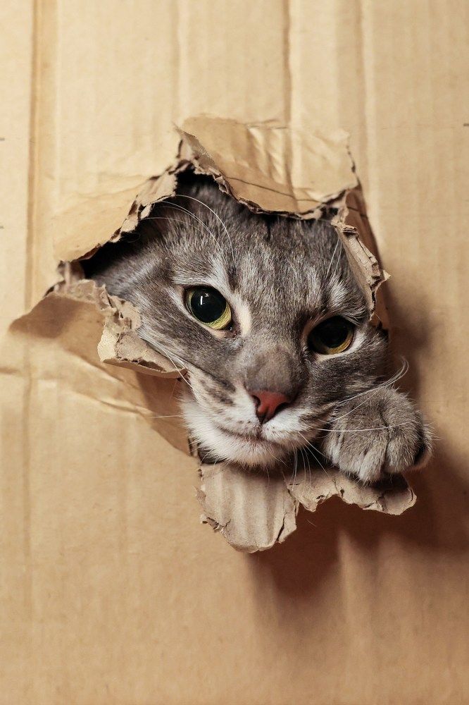 Photograph by Ксения Юрчук