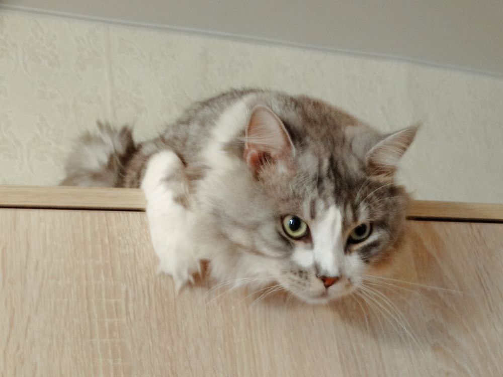 Photograph by Александр Подгорный