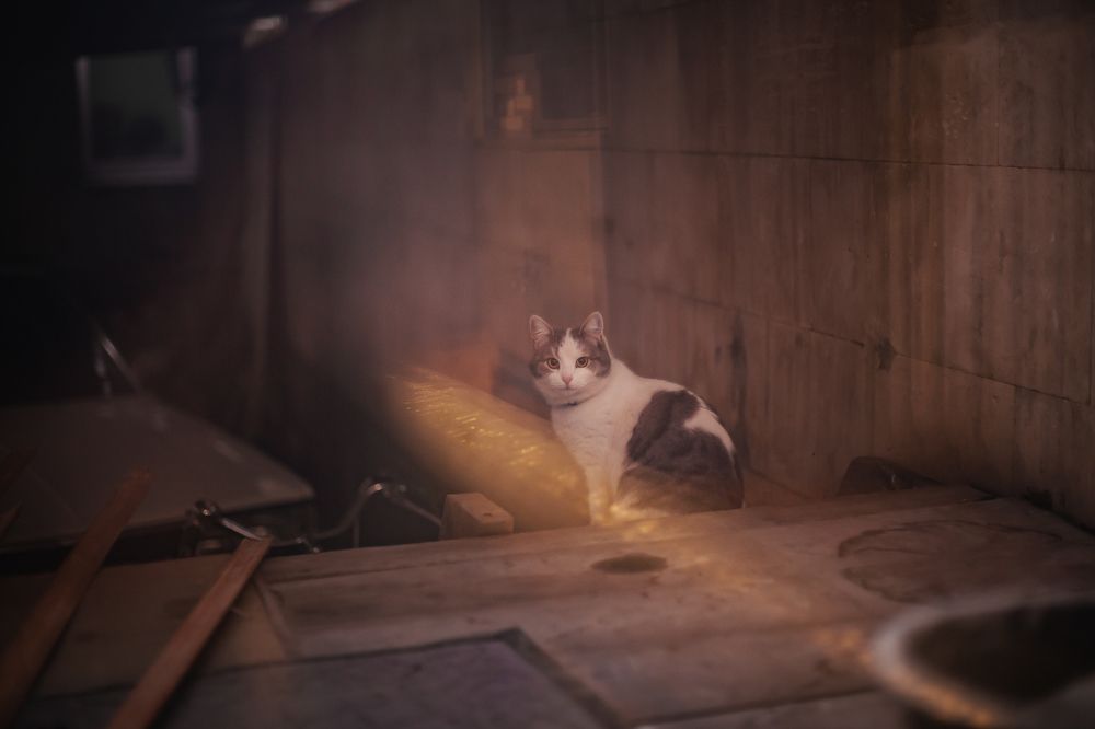 Photograph by Филипп Бабенко